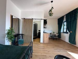 a living room with a bed and a kitchen at TAVI Apart-Hotel in Nupaky +4 photos
