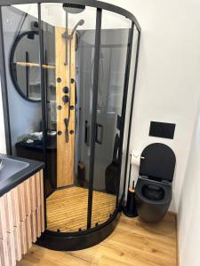 a shower stall with a toilet in a room at TAVI Apart-Hotel in Nupaky
