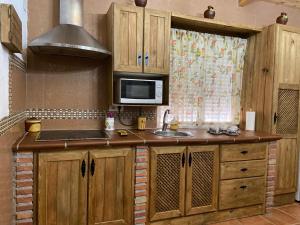 a kitchen with a sink and a microwave at Cueva Abuelo Juan in Guadix
