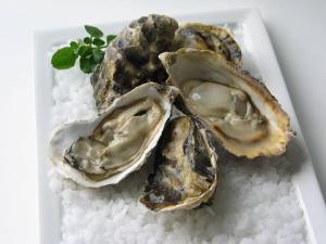 a plate of oysters on rice with a green garnishment at Appartement Ô Nid Perché Vue mer in Agon Coutainville +27 photos