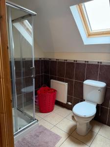 Vannituba majutusasutuses #3 - Spacious Ensuite Double Room with Sofa in Leitrim