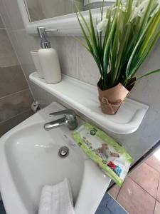 a white bathroom sink with a plant on a shelf at Alpha apartment H1 in Serres +11 photos