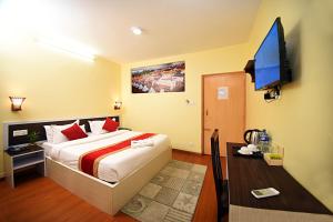 TV o dispositivi per l'intrattenimento presso Hotel Odyssey Nepal