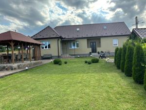 a house with a large yard with a grassy yard at Village house & Micro Winery in Sîntioana de Mureş