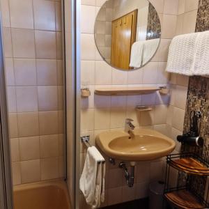 a bathroom with a sink and a mirror and a shower at Haus am Osterbrünnl in Ruhmannsfelden