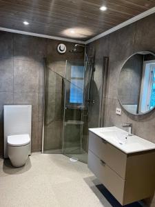 a bathroom with a shower and a toilet and a sink at Grandma`s house in Flåm +22 photos
