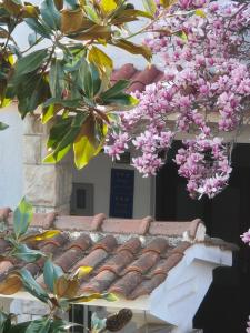 Fotografie z fotogalerie ubytování Apartments Villa Martinuzzi v Rovinji