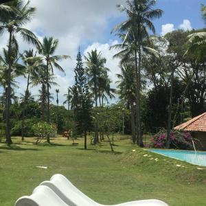 a swimming pool with palm trees in a park at FAZENDA BOSQUE DAs PALMEIRAS in Itamaracá