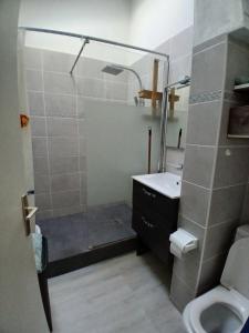 Koupelna v ubytování Maisonnette n 43" La Tortue " + 6 fotografií