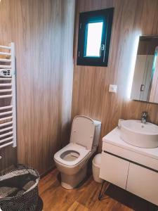 a bathroom with a toilet and a sink at La chambre des oliviers in Aubais