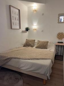 a bed in a bedroom with two pillows on it at Le Papillon Maitiss in Saint-Raphaël +42 photos