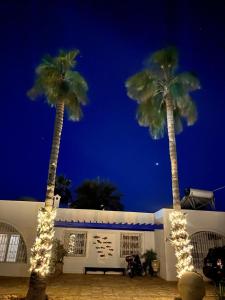 two palm trees with lights in front of a building at RESIDENCE DAR YASMINa in Mezraya