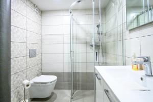 a bathroom with a shower and a toilet and a sink at The Comfortable Loft in Ljubljana
