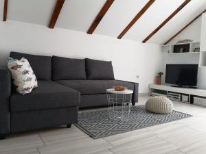TV a/nebo společenská místnost v ubytování Apartman Milutin