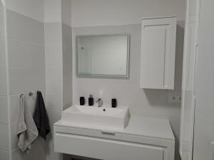 Ferienwohnung Anita的一间浴室