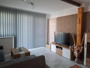 拉斯特Ferienwohnung Anita的带沙发和电视的客厅