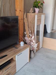 Ferienwohnung Anita的电视和/或娱乐中心