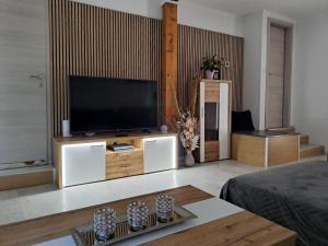 Ferienwohnung Anita的电视和/或娱乐中心