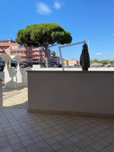 a tree sitting on top of a counter next to a building at Le Casine di Cervia in Cervia