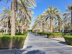 Zahrada ubytování Al Ain Host