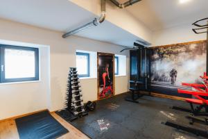 Fitness centrum a/nebo fitness zařízení v ubytování ArVia Living - Ferienwohnung in Altmünster, zentrale Lage, 7 Min Gehweg zum Traunsee, Balkon, Küche, gratis Parkplatz & WLAN