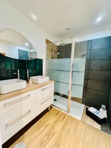 un bagno con doccia, lavandino e specchio di Le loft 62 opale des mers plage parking a Calais