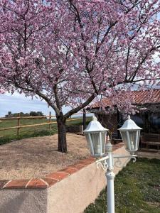 Fotografie z fotogalerie ubytování Casa Rural Explora, Pastores v destinaci Pastores