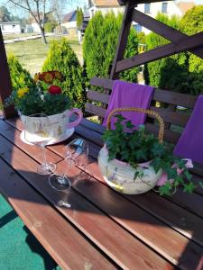 Nápoje v ubytování Ferienwohnung Schmidt + 25 fotografií