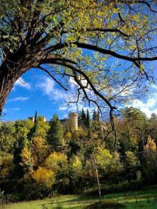 Paesaggio naturale nelle vicinanze dell'appartamento