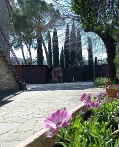 Giardino di Cuore di vigna in Umbria