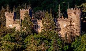 Foto dalla galleria di Cuore di vigna in Umbria a Cenerente
