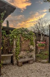 Giardino di Cuore di vigna in Umbria