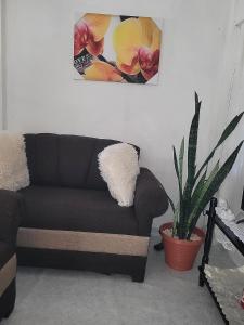 Fotografie z fotogalerie ubytování Morgan's Cozy Apartment v destinaci Belize City + 9 fotografií