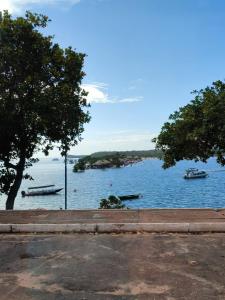 a view of a lake with boats in the water at Quartos em Alter do Chão in Santarém