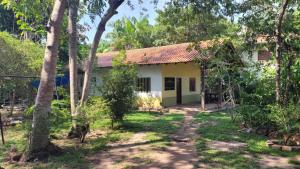a house in the middle of a forest at Quartos em Alter do Chão in Santarém