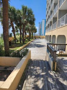 a sidewalk with palm trees next to a building at Gorgeous Ocean Views! Double Queen Sea Mist Suite! Sleeps 4! 50802 in Myrtle Beach