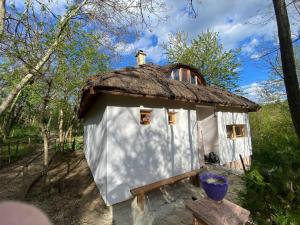 a small house with a thatch roof in the woods at Paunova Kuca in Novi Sad
