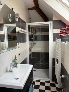 un bagno con lavandino e doccia di Cedar Cottage - Disney 30min a Coulommiers Altre 9 foto