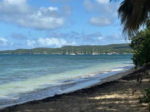 a sandy beach with boats in the water at Chill Out, bungalow ensoleillé in Grand-Bourg