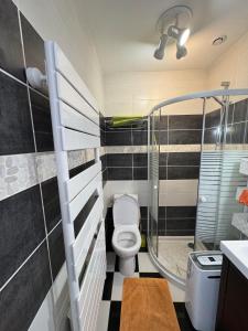 een badkamer met een toilet en een inloopdouche bij Birchbank Cottage - Disney 30min in Coulommiers