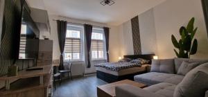 ein Wohnzimmer mit einer Couch und einem Bett in der Unterkunft Top3 Ferienwohnung mit Fitnessstudio in Plauen