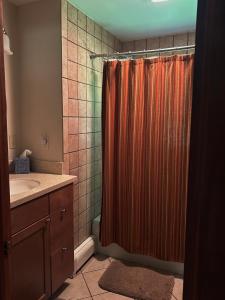 a bathroom with a shower curtain and a sink at Lake Access! Twin Birch Resort - Kodiak Cabin in Honor +35 photos