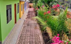 塔拉波托BUNGAVILLA House Tarapoto的花房前方的鹅卵石路径