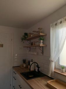 Una cocina o cocineta en Šumski Kutak