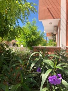 Foto dalla galleria di Panagiotis Studios 2 a Laganas