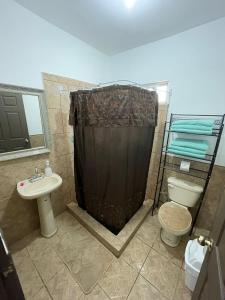 a bathroom with a shower and a toilet and a sink at GR20acd Corredor Comercial in Cuauhtémoc +18 photos
