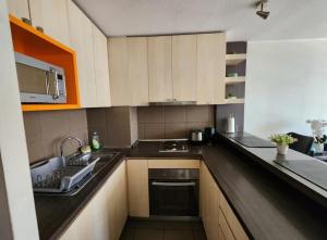 a kitchen with a sink and a stove top oven at Céntrico y lindo departamento in Santiago