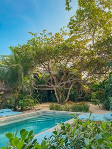 a swimming pool in front of a house with a tree at Villa Mango Jeri in Jericoacoara