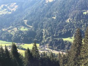 a view from the top of a mountain with trees at Hotel Bad Serneus in Klosters
