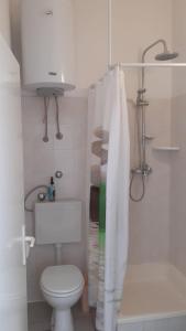 a white bathroom with a toilet and a shower at Apartment Dobri in Batalaži